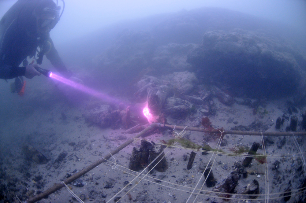 Bouldnor Cliff Excavation